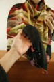 _MG_6491.JPG