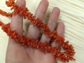 IMG_20250109_094451.jpg
