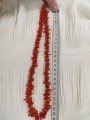 IMG_20250109_094512.jpg