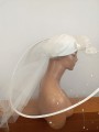 IMG_20250313_090245.jpg