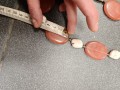 1000019521.jpg
