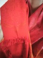 IMG_20260328_091849.jpg