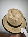 IMG_20260509_083932.jpg