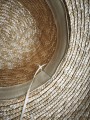 IMG_20260529_092748.jpg