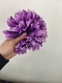 IMG_20260617_091902.jpg