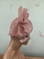 IMG_20260626_091801.jpg