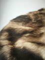 IMG_20260211_084229.jpg