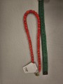 IMG_20260910_100451.jpg