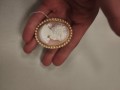 IMG_20260910_095951.jpg