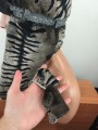 IMG_20261003_081239.jpg