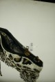 _MG_8696.JPG